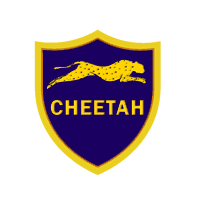 Cheetah Tool - (LG Module Activation)